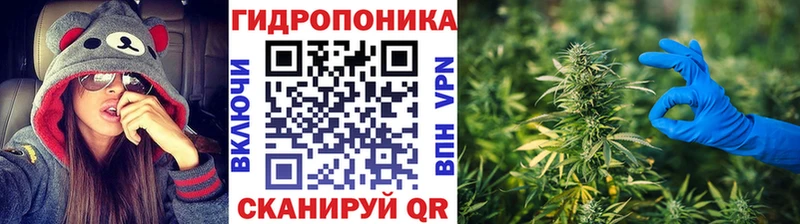 Канабис White Widow  Кувандык 